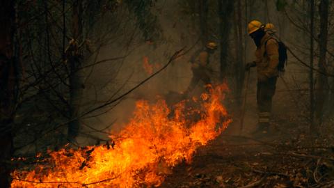 Death toll climbs as hundreds of wildfires burn in Chile