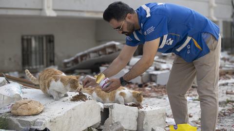 Volunteers rescue over 1,500 animals from quake rubble in Türkiye