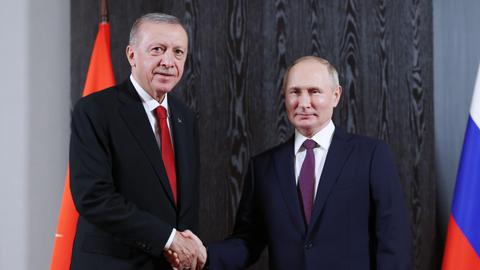Erdogan urges end to Ukraine war in call with Russia's Putin
