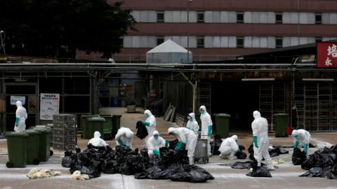 Bird flu virus stops poultry trade in Hong Kong