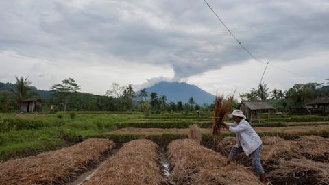 Bali villagers reluctant to leave despite high risk of eruption