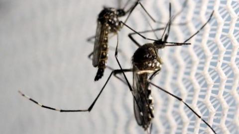 Zika spreads to Miami Beach, fresh travel warnings issued