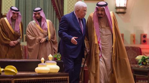 Is Saudi Arabia Israel's protector?