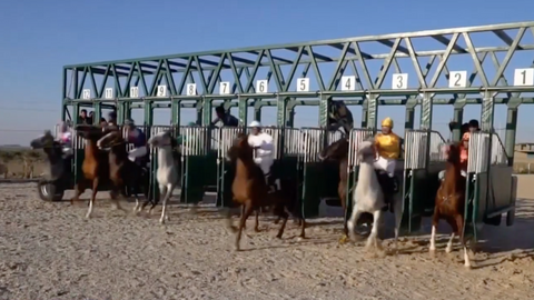 Horse racing gains ground in Iraq's Erbil
