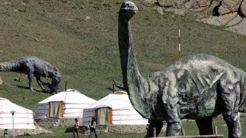 Mongolia struggles to combat dinosaur fossil smugglers
