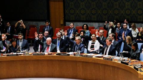 UNSC adopts resolution demanding 30-day ceasefire throughout Syria
