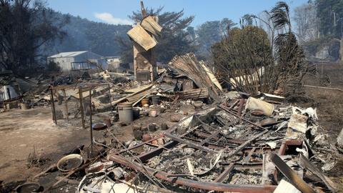 Australian wildfires raze dozens of homes, kill livestock
