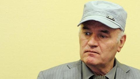 'Butcher of Bosnia' Mladic appeals war crimes convictions