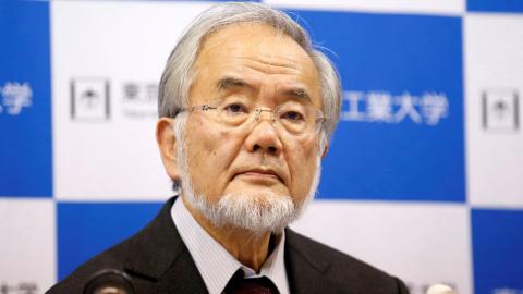 Japanese scientist gets 2016 Nobel prize for medicine