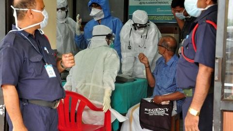 Ten die in India outbreak of brain-damaging Nipah virus