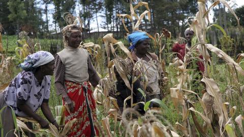 Unleashing the power of women farmers in Africa, and beyond