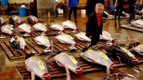 Tokyo's Tsukiji holds last tuna auction before move