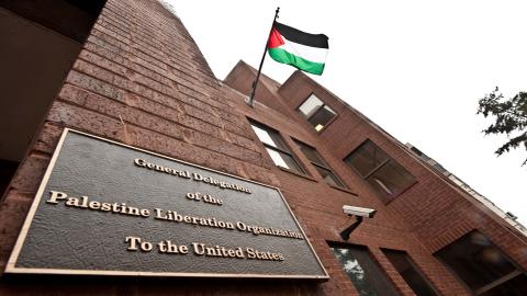 Palestine's flag flies high, as support for Palestinians hits historic low