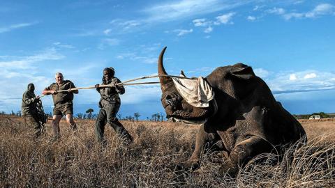 Poaching is not only bad for animals, it's bad for people too