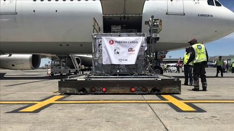 Turkish Airlines flies rescued lions to natural habitat