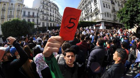Algeria war veterans back anti-Bouteflika protests