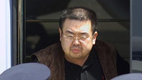 North Korean leader's half-brother reportedly killed in Malaysia