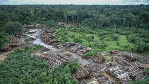 Brazil Amazon deforestation soars to 11-year high under Bolsonaro