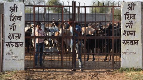 Mob kills man in new cow lynching in India