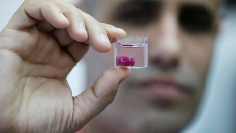 Scientists unveil 'first 3D print of heart' with human tissue, vessels