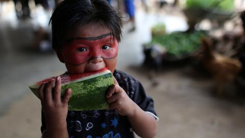 Brazil Land Battle: Indigenous Brazilians fight for land rights