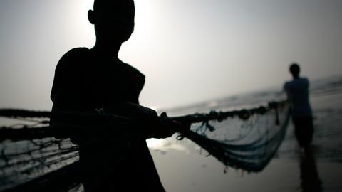 Ghana bans fishing to rebuild stocks