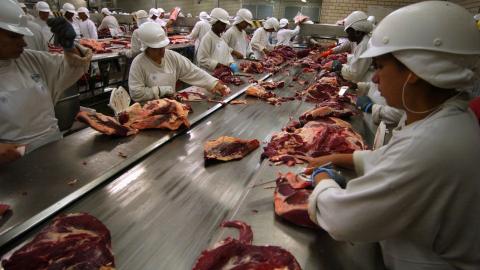 Brazil's rotten meat scandal prompts import bans