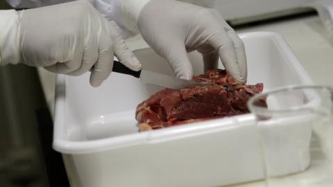 Brazil's rotten meat crisis deepens