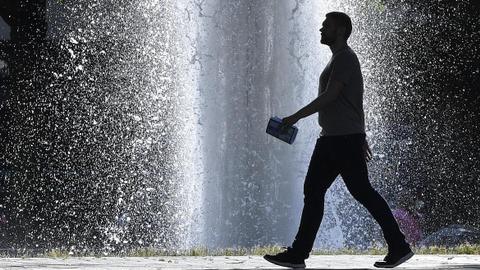 Ice cubes for tigers as heatwave smashes European records