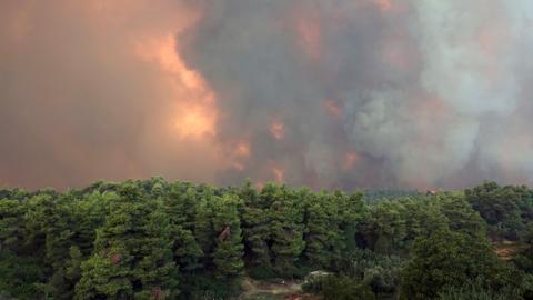 Villages evacuated as fire burns Greek island nature reserve