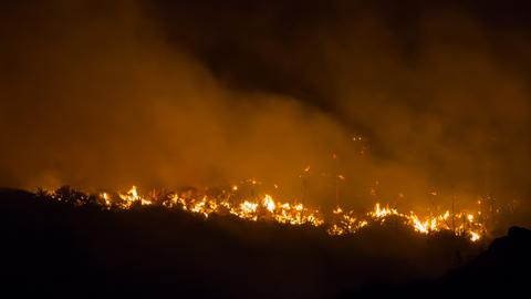 Evacuations as Gran Canaria hit by new blaze