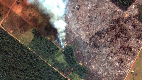 Global worry over Amazon fires escalates; Bolsonaro defiant