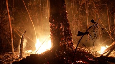 Brazilian troops begin extinguishing Amazon fires
