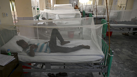 Pakistani officials say outbreak of dengue fever kills 20