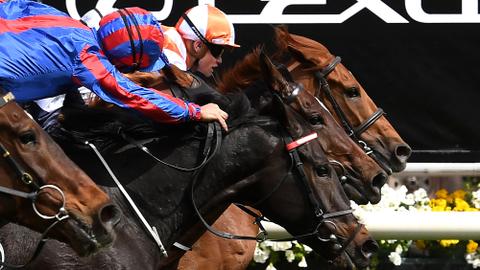 Australia's Vow and Declare wins Melbourne Cup thriller