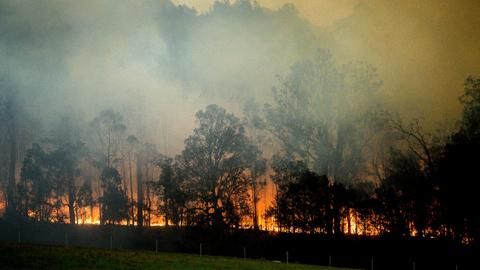 Australia battles new bushfire threat as smoke cloaks capital