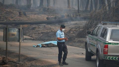 Huge forest fire kills at least 62 people in Portugal