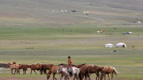 Harsh conditions force Mongolian nomads to move to cities