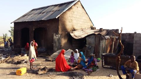 Boko Haram militants kill over two dozen civilians in Niger