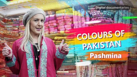 Colours of Pakistan: Pashmina