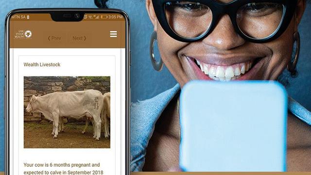 South African app simplifies investing in livestock | Money Talks - TRT