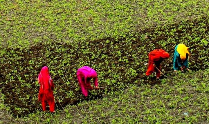 A Place Called Pakistan