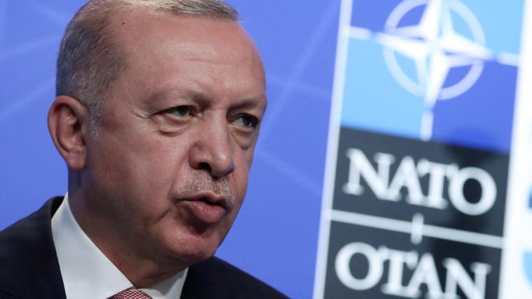 Erdogan: Türkiye does not favour Finland, Sweden joining NATO for now