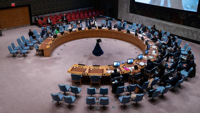 UN Security Council anonymously condemns killing of Palestinian journalist