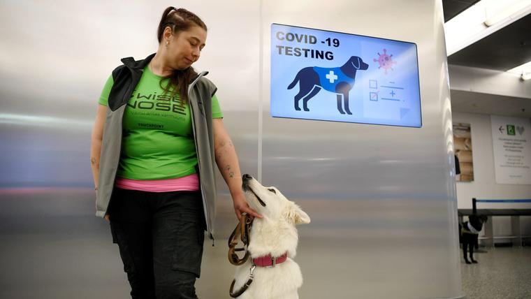 Finland health authorities warn of Covid-19 escalation – latest updates