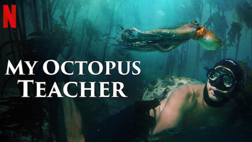 A Story Of A Human And An Octopus Makes Its Way To The Oscars