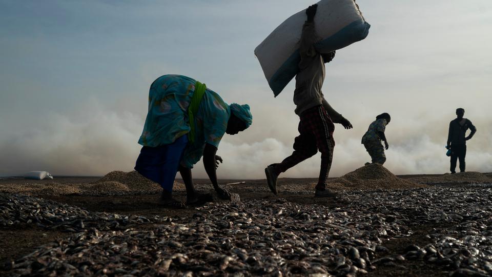 A woman spreads fish on the ground before processing it on Bargny beach, some 35 kilometers (22 miles) east of Dakar, Senegal, Wednesday April 21, 2021.