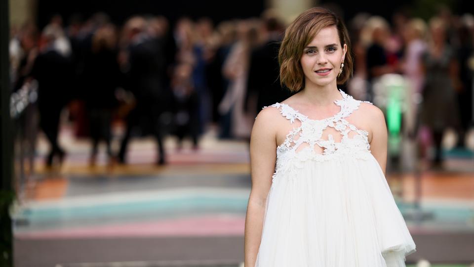 In addition to her big screen roles, Emma Watson is a UN Women’s goodwill ambassador.