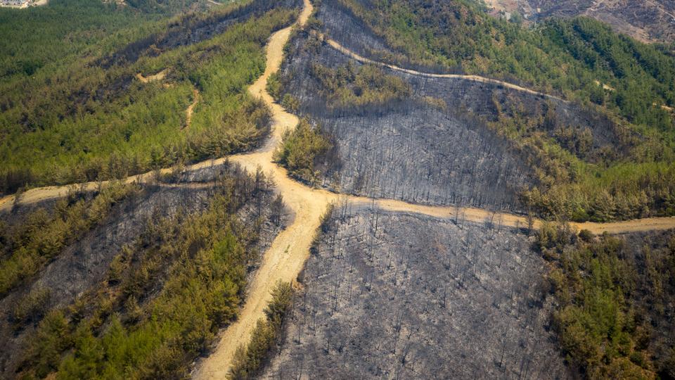 Türkiye's President Recep Tayyip Erdogan has said an estimated 4,000 hectares (nearly 9,900 acres) of forest was affected by the fire.