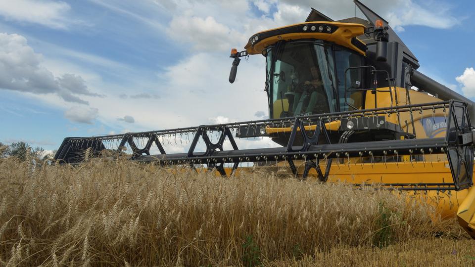 An employee operates a combine as he harvests wheat in a field, as Russia's attack on Ukraine continues, in Kharkiv region, Ukraine July 19, 2022.